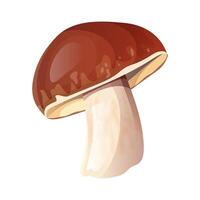 Porcini mushroom illustration. Single boletus edulis isolated. Forest and culinary concept for design and print. Realistic style. vector