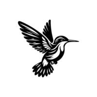 volador colibrí diseño ilustración vector
