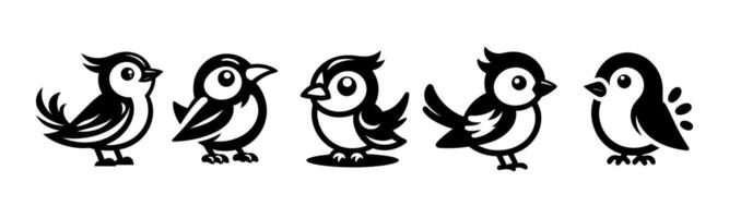 collection of bird illustrations vector