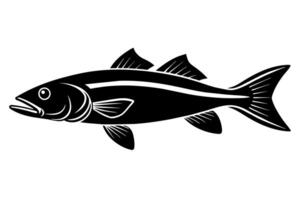 común róbalo pescado silueta ilustración aislado en un blanco antecedentes vector