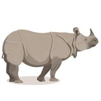 The Javan rhinoceros is the most mysterious of all rhinoceroses, very rare vector