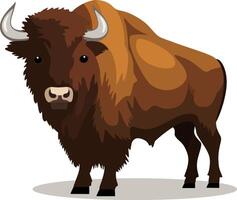 el bisonte es un grande mamífero vector