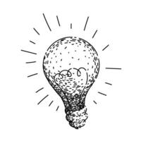 bulb bulb sketch hand drawn vector