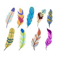 feather exotic bird set cartoon illustration vector