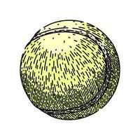 racket tennis ball sketch hand drawn vector