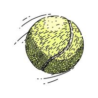 green tennis ball sketch hand drawn vector