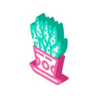 succulents urban gardening isometric icon illustration vector