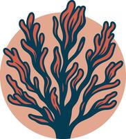 Seaweed graphic illustration vector
