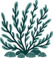 Seaweed graphic illustration vector