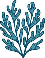 Seaweed graphic illustration vector