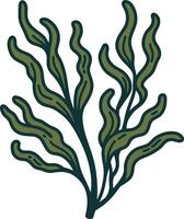 Seaweed graphic illustration vector