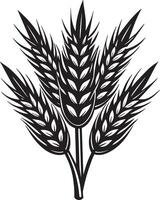 Ears of wheat. Silhouette of wheat. illustration vector