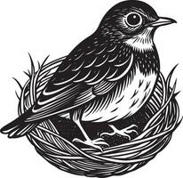 Bird in the nest. Black and white engraving. illustration. vector