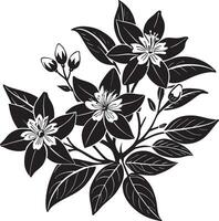Black and white floral pattern with flowers and leaves. illustration. vector