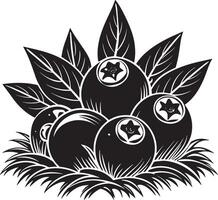 Black and white illustration of a bunch of blueberries with leaves. vector