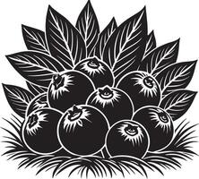 Black and white illustration of a bunch of blueberries with leaves. vector