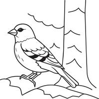 Bullfinch - Coloring Page Outline of a Bullfinch vector