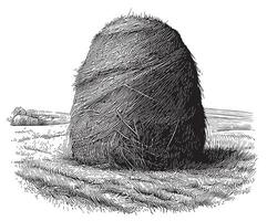 Haystack nature sketch hand drawn sketch illustration vector