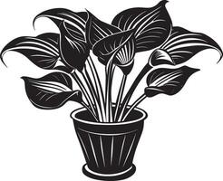 Illustration of an exotic plant in a pot on a white background vector