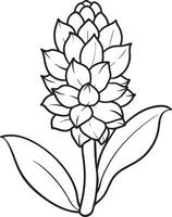 hyacinth flower black and white illustration in white background vector