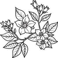 Illustration of flowers and leaves in black and white for coloring book vector