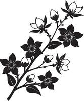 Sakura branch with flowers and leaves. Black and white illustration. vector