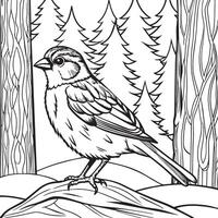 Sparrow bird in the forest. illustration in black and white. vector