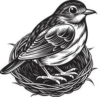 Bird in the nest. Black and white engraving. illustration. vector