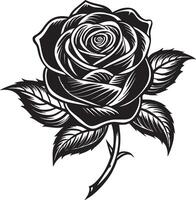 A black and white drawing of a rose with a leaf isolated on white background vector