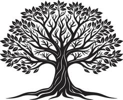 Black and White Silhouette of Olive Tree. Illustration vector