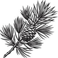 branch of pine tree. on a white background. illustration vector