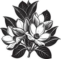 magnolia flor ramo de flores negro y blanco flor vector