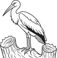 cigüeña - negro y blanco dibujos animados ilustración de pájaro para colorante libro vector