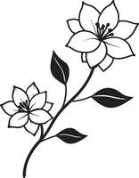 Silhouette of a branch with flowers and leaves on a white background vector