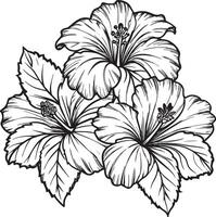 Hibiscus flower. illustration vector