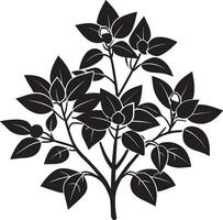 Illustration of a branch with leaves and flowers. Black and white. vector