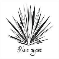 Blue Agave Succulent Plant Stencil vector