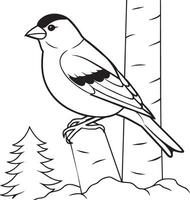 Black and White Cartoon Illustration of Bullfinch Bird for Coloring Book vector