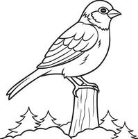 Black and White Cartoon Illustration of House Sparrow Bird for Coloring Book vector