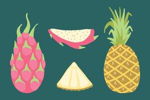 Illustration of tropical fruits including pineapple, dragon fruit, pitaya slice, and lime slice. Vibrant, colorful, and fresh, perfect for themes of healthy eating, summer, and exotic foods. vector