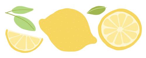 A bright and fresh digital illustration of a whole lemon, lemon slice, and lemon half with green leaves on a white background. Vibrant and clean design. vector