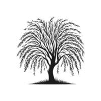 Serenity Symbol icon Concept of Nature-Friendly Willow Tree vector