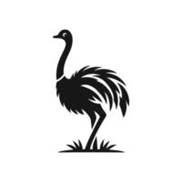 Ostrich silhouette illustration isolated on a white background. vector