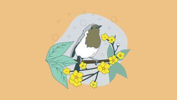 Robin pájaro dibujos animados vector