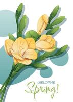 saludo tarjeta modelo con primavera flores bandera, póster con narcisos Pascua de Resurrección ilustración de delicado flores en dibujos animados estilo para tarjeta, invitación, fondo, etc. vector