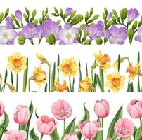 Set of seamless borders of spring flowers on isolated background. Background of daffodils, tulips, freesia for decorating cards, banners, posters, invitations, etc vector