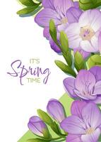 Greeting card template with spring flowers. Banner, poster with purple freesia. illustration of delicate flowers in cartoon style for card, invitation, background, etc. vector