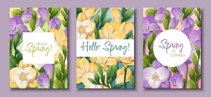 conjunto de saludo tarjeta plantillas con primavera flores bandera, póster con púrpura y amarillo fresia ilustración de delicado flores en dibujos animados estilo para tarjeta, invitación, fondo, etc. vector