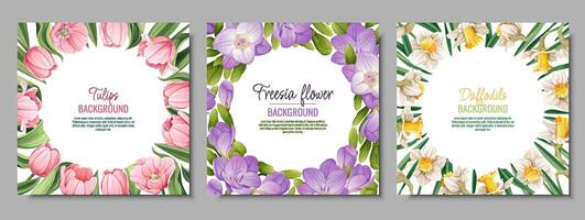 conjunto de bandera plantillas con primavera flores tarjeta postal, póster con tulipanes, narcisos, fresia ilustración de delicado flores en dibujos animados estilo para tarjeta, invitación, fondo, etc. vector