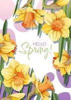 Greeting card template with spring flowers. Banner, poster with daffodils. Easter illustration of delicate flowers in cartoon style for card, invitation, background, etc. vector
